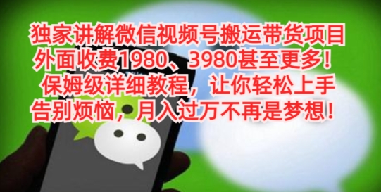 独家讲解微信视频号搬运带货项目，保姆级详细教程|云雀资源分享