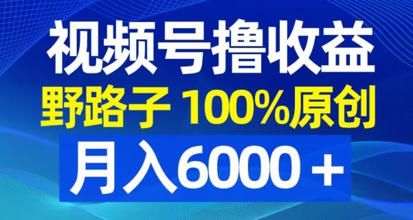 视频号野路子撸收益，100%原创，条条爆款，月入6000＋【揭秘】|云雀资源分享