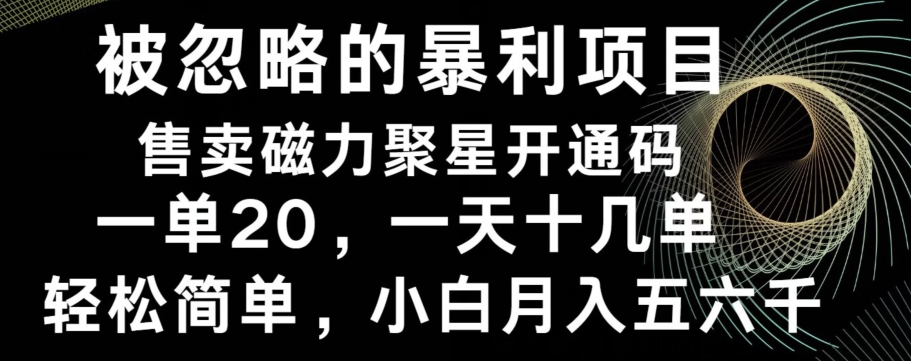 被忽略的暴利项目！售卖磁力聚星开通码，一单20，一天十几单，轻松月入五六千|云雀资源分享