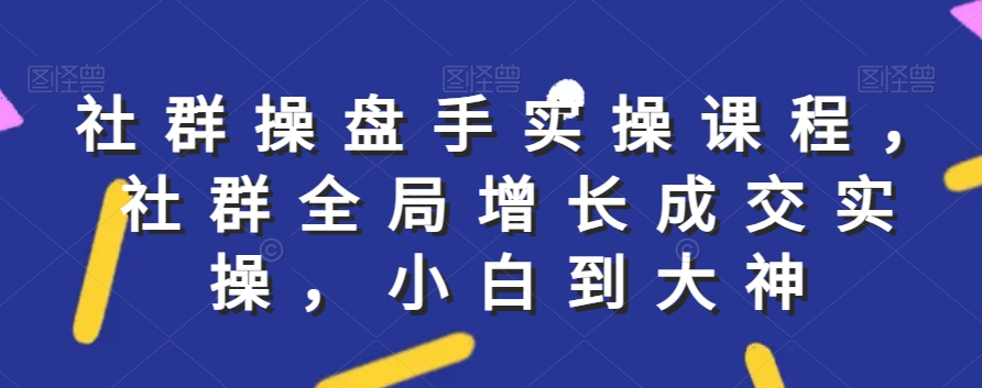 社群实操课程，社群全局增长成交实操，小白到大神|云雀资源分享