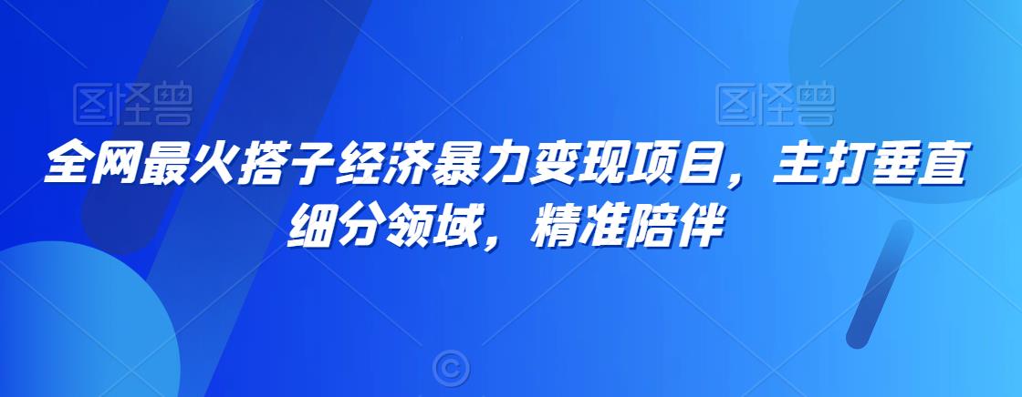 全网最火搭子经济暴力变现项目，主打垂直细分领域，精准陪伴【揭秘】|云雀资源分享