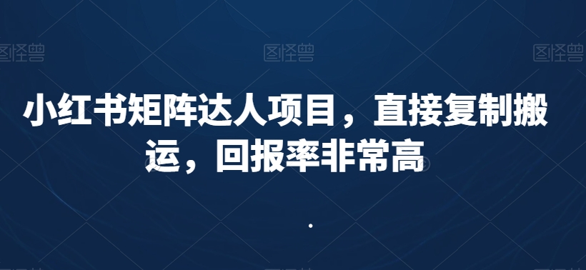 小红书矩阵达人项目，直接复制搬运，回报率非常高|云雀资源分享