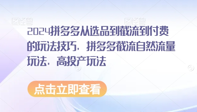 2024拼多多从选品到截流到付费的玩法技巧，拼多多截流自然流量玩法，高投产玩法|云雀资源分享