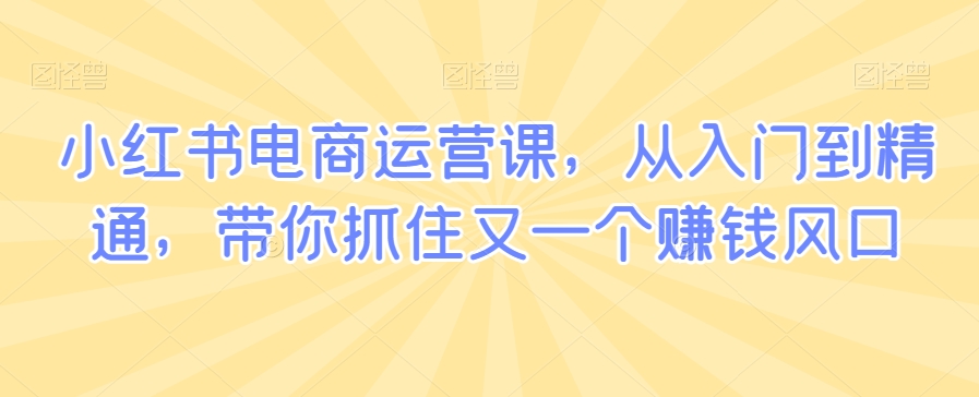 小红书电商运营课，从入门到精通，带你抓住又一个赚钱风口|云雀资源分享