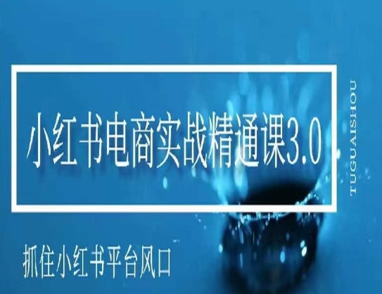 小红书电商实战精通课3.0，抓住小红书平台的风口，不错过有一个赚钱的机会|云雀资源分享