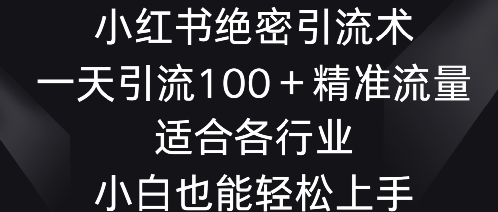 小红书绝密引流术，一天引流100+精准流量，适合各个行业，小白也能轻松上手【揭秘】|云雀资源分享