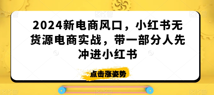 2024新电商风口，小红书无货源电商实战，带一部分人先冲进小红书|云雀资源分享