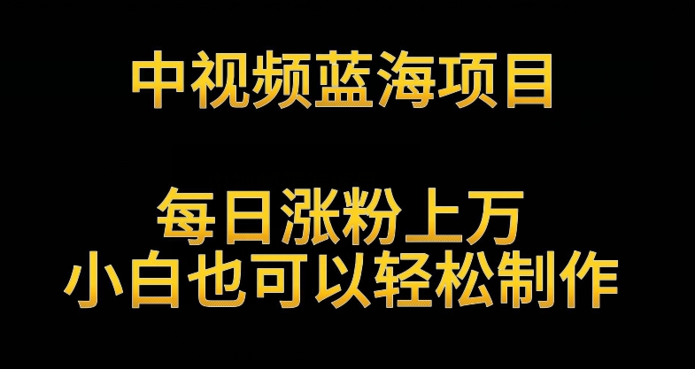 中视频蓝海项目，解读英雄人物生平，每日涨粉上万，小白也可以轻松制作，月入过万不是梦【揭秘】|云雀资源分享