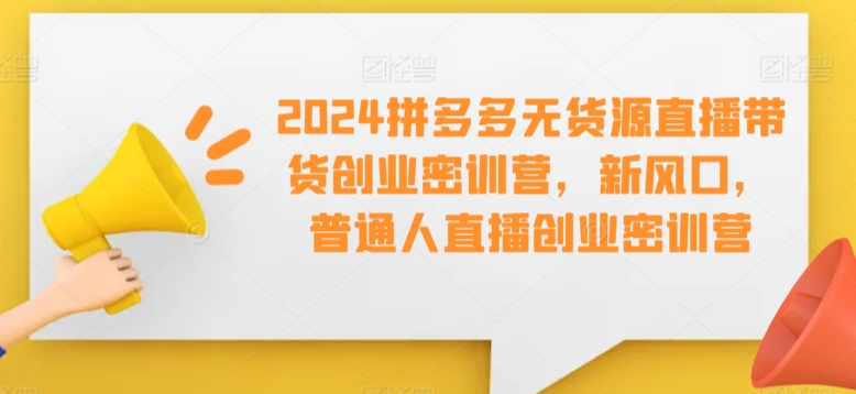 2024拼多多无货源直播带货创业密训营，新风口，普通人直播创业密训营|云雀资源分享