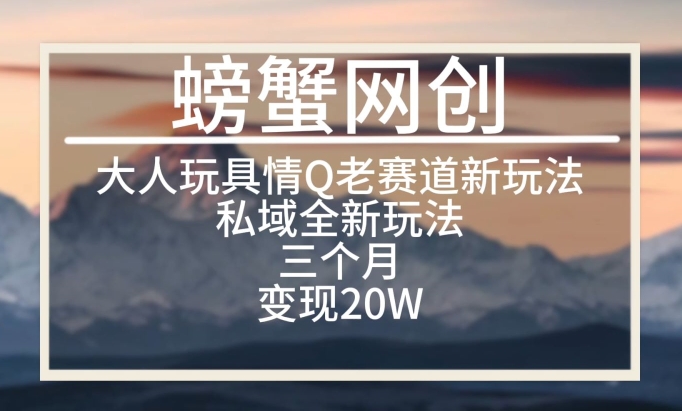 大人玩具情Q用品赛道私域全新玩法，三个月变现20W，老项目新思路【揭秘】|云雀资源分享