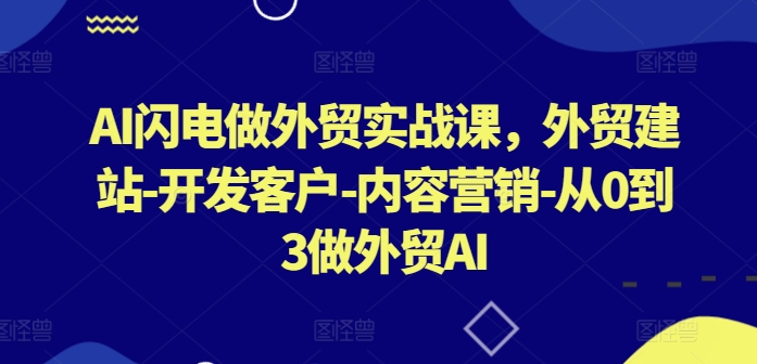 AI闪电做外贸实战课，​外贸建站-开发客户-内容营销-从0到3做外贸AI|云雀资源分享