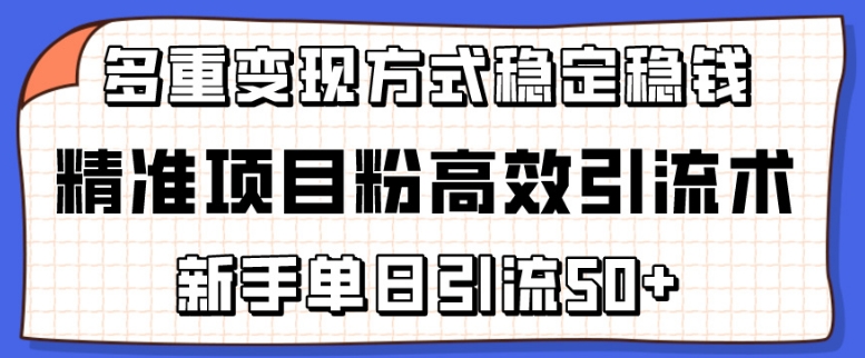 精确新项目粉高效率引流术，初学者单日引流方法50 ，多种变现模式稳定赚钱【揭密】|云雀资源分享