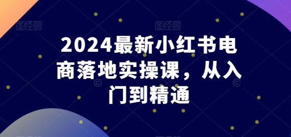 2024全新小红书电商落地式实操课，实用教程|云雀资源分享