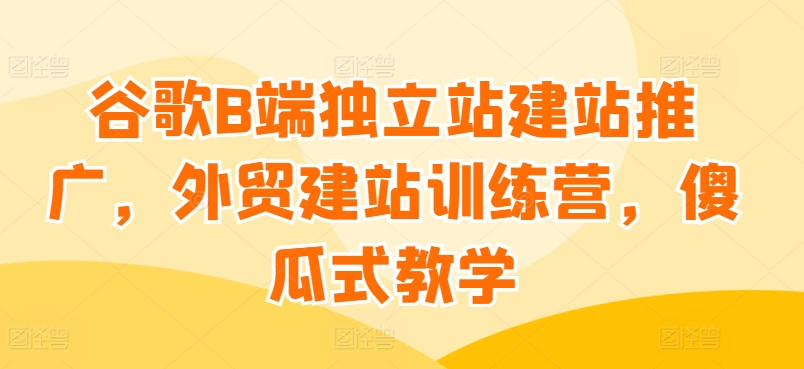 谷歌搜索B端独立站建站营销推广，外贸网站建设夏令营，简单化课堂教学|云雀资源分享