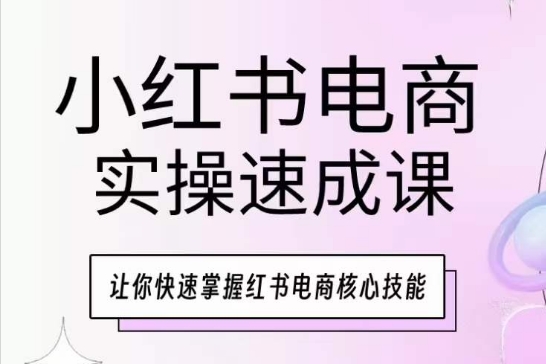 小红书电商实际操作速成课，让你快速把握小红书电子商务核心技能|云雀资源分享