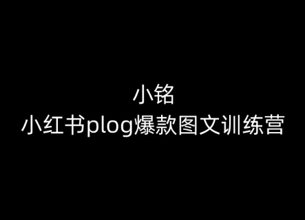 小铭-小红书的plog爆品图文并茂夏令营，教大家从0-1做小红书的|云雀资源分享