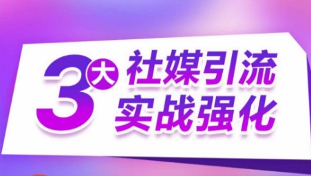 3大社交媒体引流方法实战演练加强，多种渠道站外引流，高效率营销获客，订单信息销售总额翻倍增长|云雀资源分享