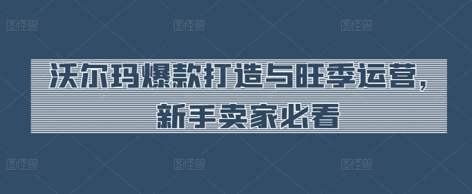 沃尔玛超市爆款打造与高峰期经营，新手卖家必读|云雀资源分享