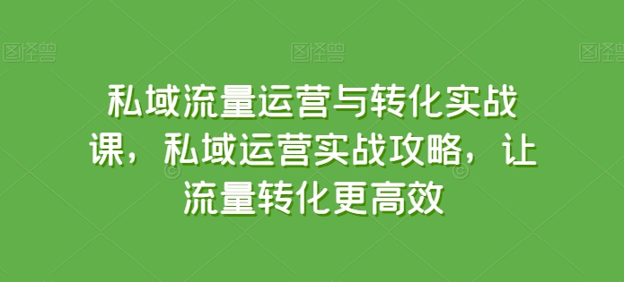 私域流量运营与转化实战课，私域运营实战攻略，让流量转化更高效|云雀资源分享