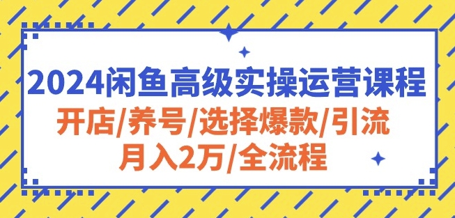 2024闲鱼高级实操运营课程：开店/养号/选择爆款/引流/月入2万/全流程|云雀资源分享