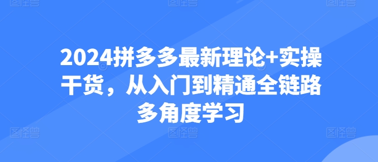 2024拼多多最新理论+实操干货，从入门到精通全链路多角度学习|云雀资源分享