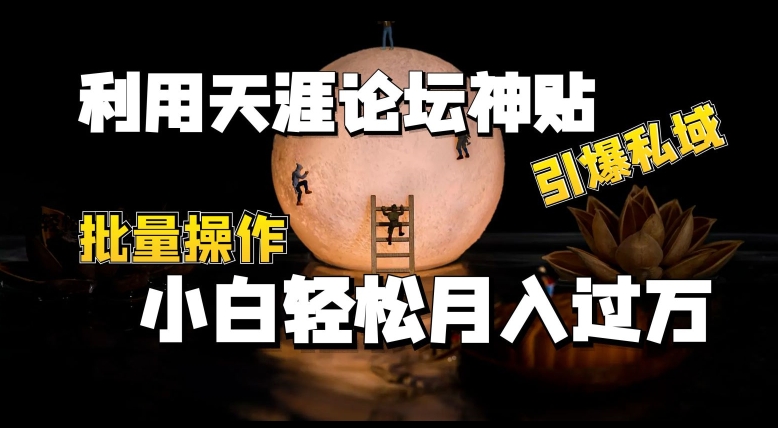 运用天涯社区神贴，点爆公域，批量处理，新手轻轻松松月入了w【揭密】|云雀资源分享