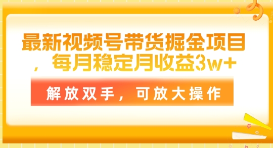 全新视频号带货掘金队新项目，每月平稳月盈利1w ，解锁新技能，可变大实际操作|云雀资源分享