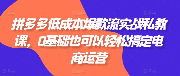 拼多多平台降低成本爆品流实战演练私教，0基本还可以轻松解决网店运营|云雀资源分享