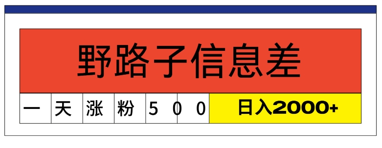 全新《1000个野路子信息差》新模式，字幕视频，单独著作暴粉5000 ，新手快速上手|云雀资源分享