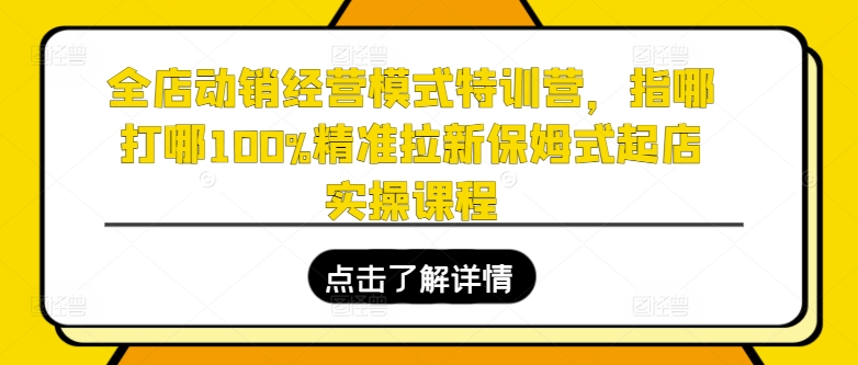 全店动销运营模式夏令营，指哪打哪100%精确引流跟踪服务出单实操课程|云雀资源分享