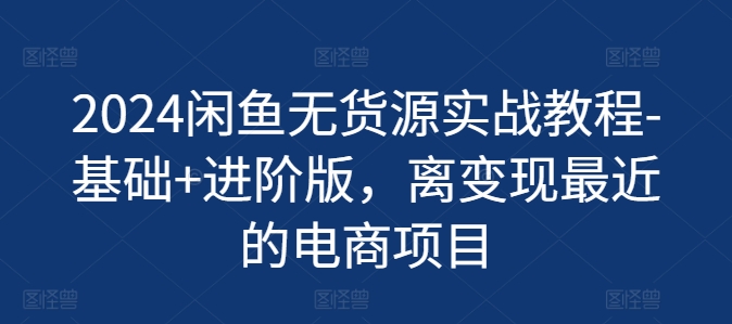 2024闲鱼平台无货源电商实战演练实例教程-基本 升级版，离转现近期的电商项目|云雀资源分享