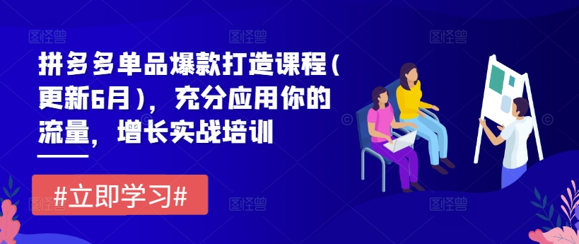 拼多多平台品类爆款打造课程内容(升级6月)，充分应用你的流量，提高实战培训|云雀资源分享