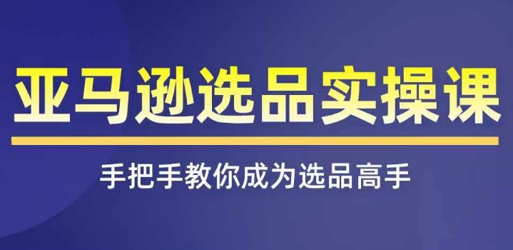 亚马逊选品实操课程，快速上手亚马逊选品技巧，遮盖亚马逊选品全部方式|云雀资源分享