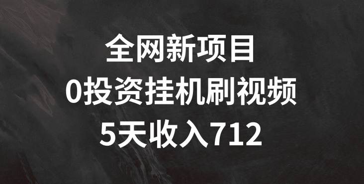 各大网站最新项目，0项目投资挂JI刷短视频，5天盈利多张|云雀资源分享