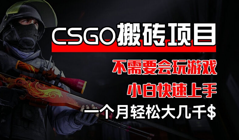 CSGO 装备搬砖项目，操作简单，不需要会玩游戏，小白也能快速上手，一个月轻松大几千【揭秘】|云雀资源分享