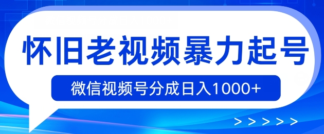 复古小视频暴力行为养号，视频号分为日入1k|云雀资源分享