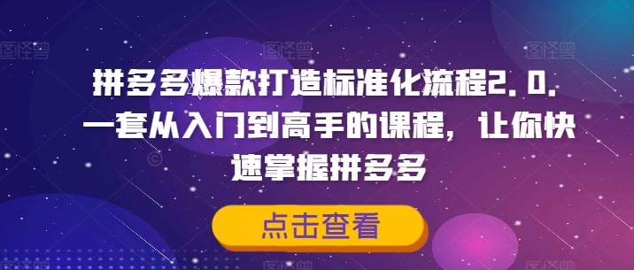 拼多多爆款打造出标准流程2.0，一套从入门到大佬的课程内容，让你快速把握拼多多平台|云雀资源分享