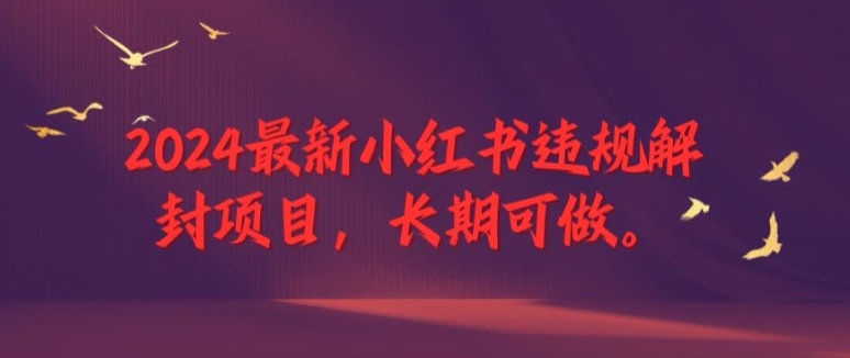 2024全新小红书违规解除限制新项目，长期性能做，一个能做到退休新项目【揭密】|云雀资源分享