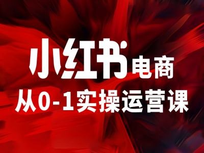 小红书电商从0-1实际操作运营课，使你从小白到精锐|云雀资源分享