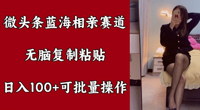 头条瀚海相亲约会跑道，没脑子拷贝，日入100 ，可批量处理|云雀资源分享