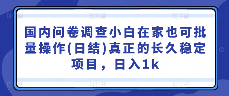 国内问卷调查小白在家也可批量操作(日结)真正的长久稳定项目，日入1k【揭秘】|云雀资源分享