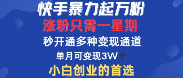 快手暴力起万粉，涨粉只需一星期，多种变现模式，直接秒开万合，单月变现过W【揭秘】|云雀资源分享