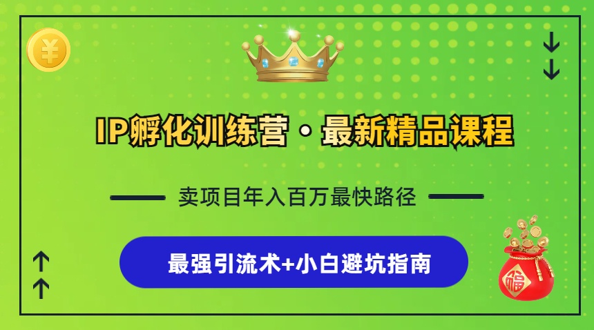 IP卵化夏令营，社交电商全过程 最牛引流术 新手避坑指南|云雀资源分享