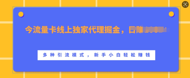 上网卡网上独家经营掘金队，日入1k ，多种多样引流方法方式，新手入门快速上手【揭密】|云雀资源分享