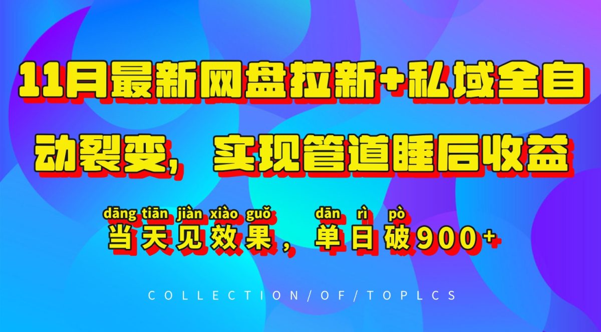 11月最新网盘引流 公域自动式裂变式，完成管路睡后盈利，当日见实际效果，单日破900|云雀资源分享