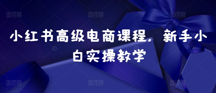 小红书高级电商课程，新手小白实操教学|云雀资源分享