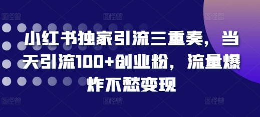 小红书独家引流三重奏，当天引流100+创业粉，流量爆炸不愁变现【揭秘】|云雀资源分享