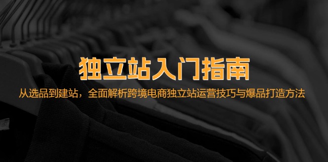 自建站新手入门手册：从选款到建网站，深度剖析跨境电子商务独立站运营技巧与爆款…|云雀资源分享