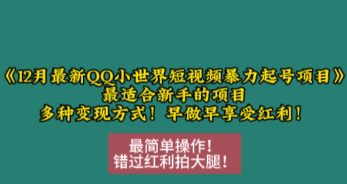 12月最新QQ小世界短视频暴力起号项目，最适合新手的项目，多种变现方式|云雀资源分享