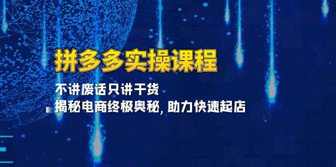 拼多多平台实操课程：不谈空话只谈干货知识, 揭密电子商务最终秘密,助推迅速出单|云雀资源分享